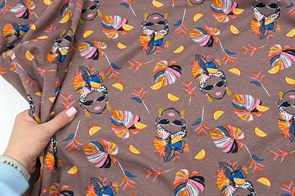 Кулирка Африканки