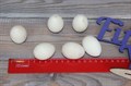 Заготовка деревянная "Яйцо"  3*4 см - фото 31254
