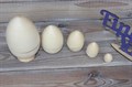 Деревянная заготовка из липы " Яйцо" 5 шт в одном - фото 32284 Деревянная заготовка из липы " Яйцо" 5 шт в одном - фото 32284